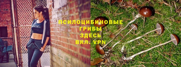 амфетамин Алексеевка